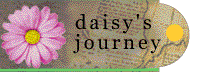 read about Daisy's journey....